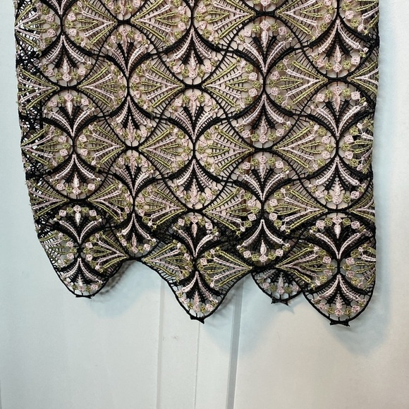 Topshop | Embroidered Lace Dress - Pink Cream Sage Green Blacks - US6 - Mesh upp - Picture 7 of 9